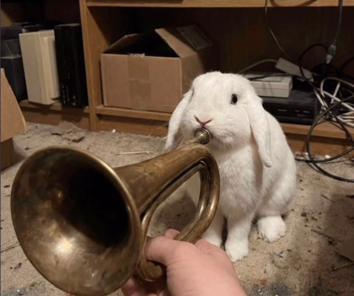 A bunny playing the trumpet